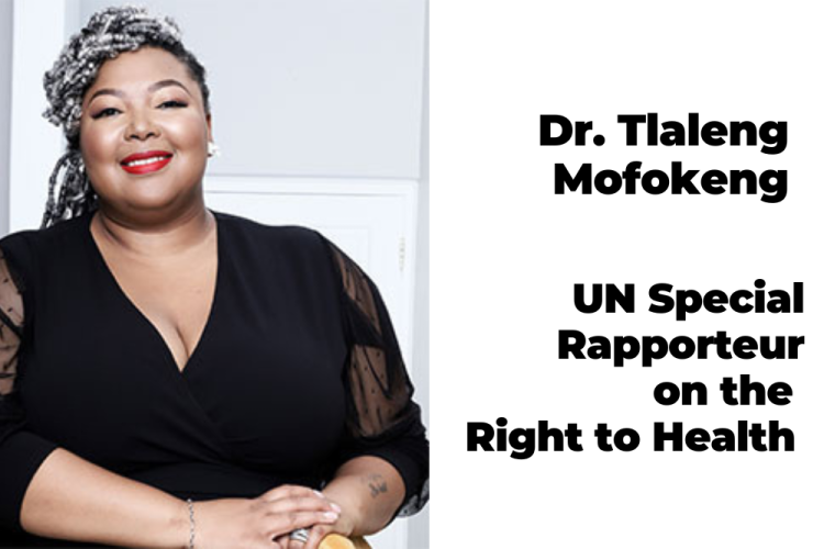 UN Special Rapporteur
